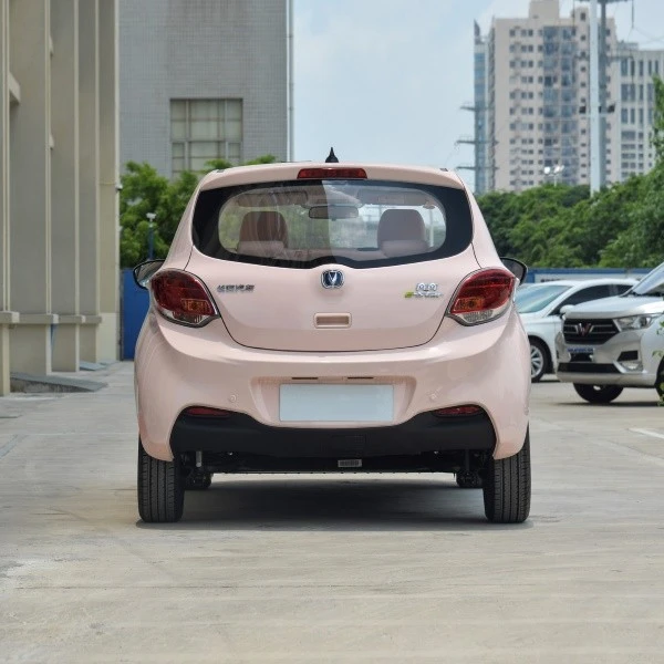Mini Electric Car