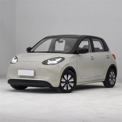 Julat elektrik mini